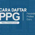 Cara Daftar PPG Prajabatan 2025