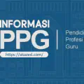 PPG 2025 Kapan Dibuka, Ini Jadwal Lengkapnya