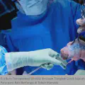 Era Baru Transplantasi Dimulai Ilmuwan Tiongkok Cetak Sejarah, Paru-paru Babi Berfungsi di Tubuh Manusia